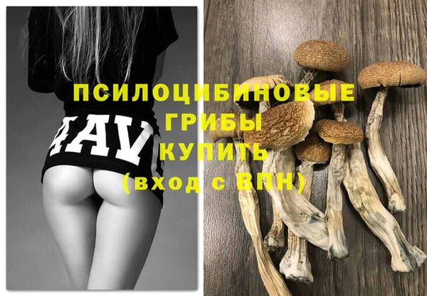 ПСИЛОЦИБИНОВЫЕ ГРИБЫ Беломорск